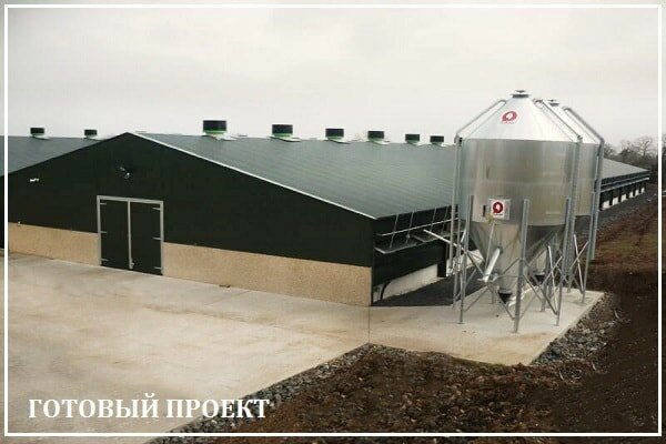 Этапы возведения птицефабрики от завода ВелесТент-трж